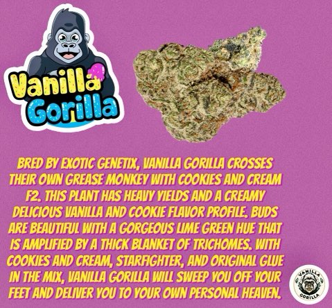 0FCD16D4-3A54-4586-ADAD-BFF5F200571B-1764087926