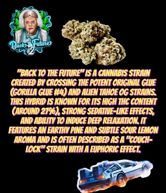 925A7C01-95F7-4165-AE84-1EEAAC86E9A1-1764087926